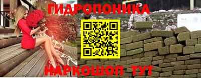 стаф Гусев