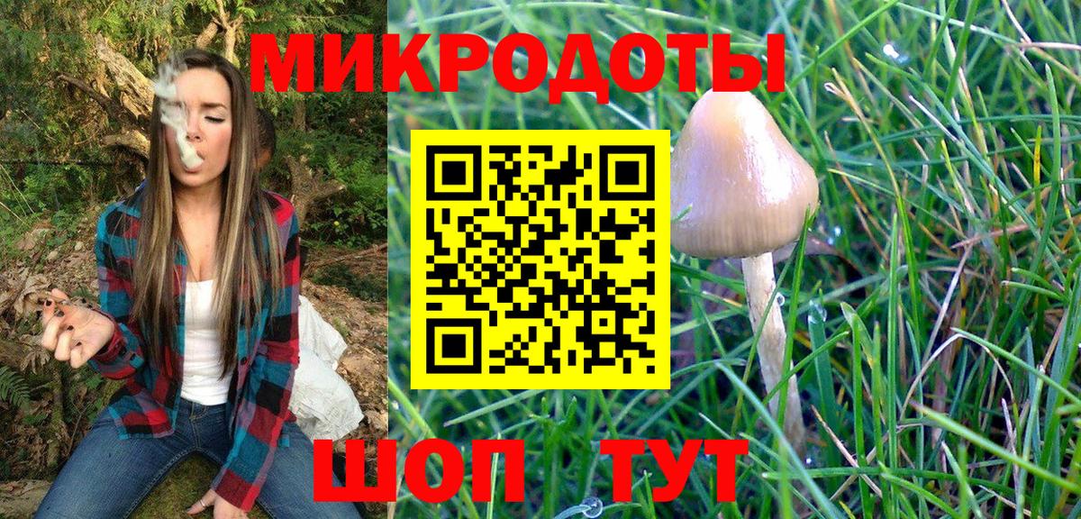 Миасс  Галлюциногенные грибы прущие грибы  Вход с VPN  Псилоцибиновые грибы мухоморы 